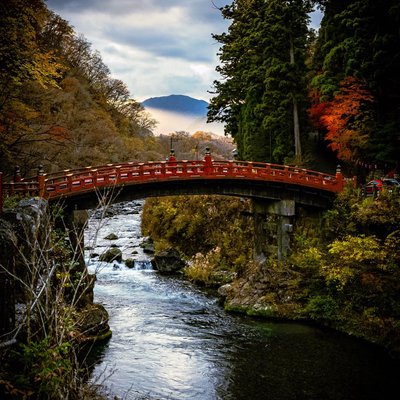 autumn story