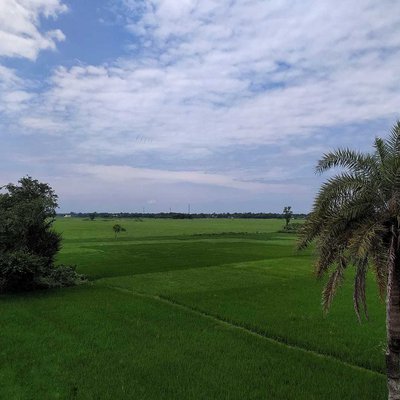 Beauty of rural Bengal💙