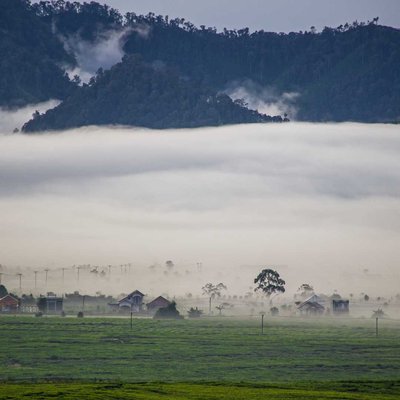 kabut pagi 