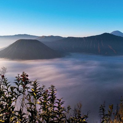Misty Morning, Mount Bromo