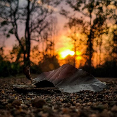 Your light is more mignificent than sunrise or sunset.