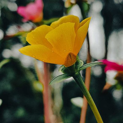 Touch of Nature 💛💚💛