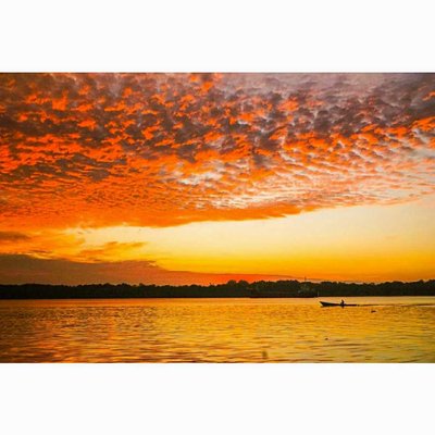 sunrise at kumai river