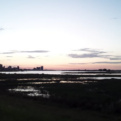 paseito