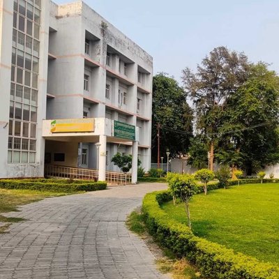 Department of sociology