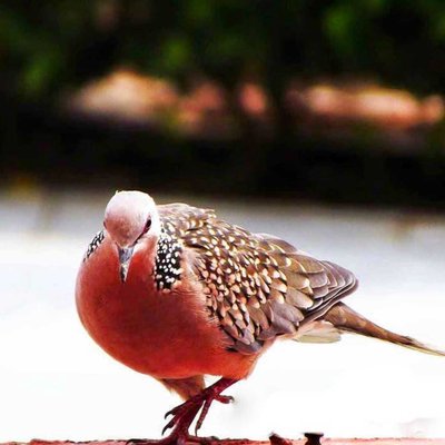 nature is beautiful 🤩