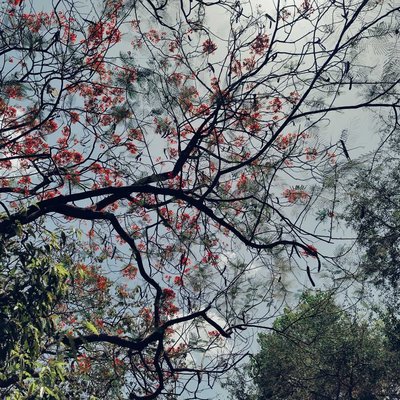Go with the flow of nature😌💫
