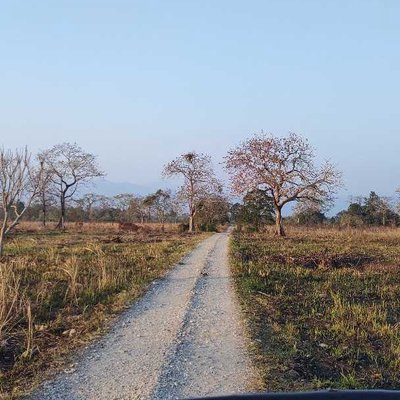 Jeep Safari through Manas
