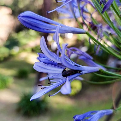 La primavera está cerca