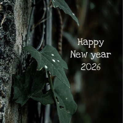 Happy new year 2026