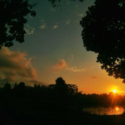 Mr. Sun is Coming