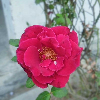 Good morning❣️