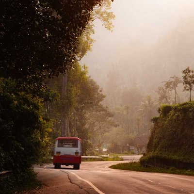 Journey To Foggy Western Ghats and Scenic Coffee plantation