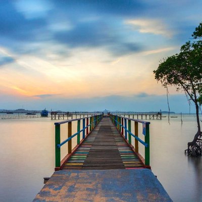 the bridge