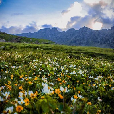 Tarsar marsar trek