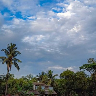 beauty of Bengal 🌿💚💙