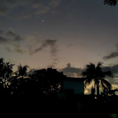 Good Morning