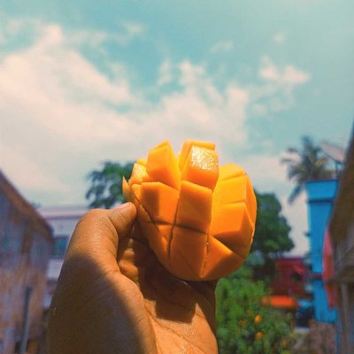 mango season 🙌♥️