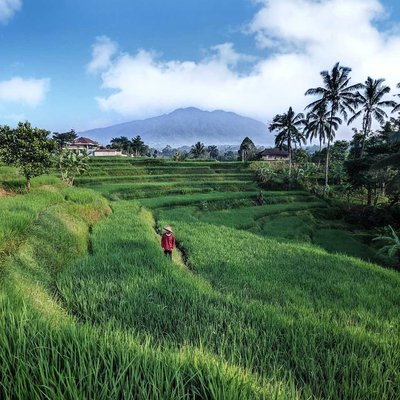 View Salak Mountain and Terrace