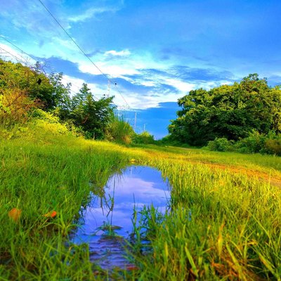 Nature Scenery 