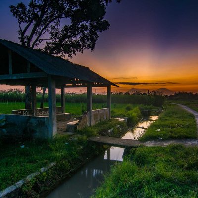 sunset pematang sawah