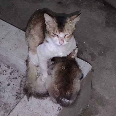 baby feeding