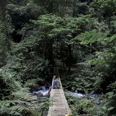 Tengah Hutan