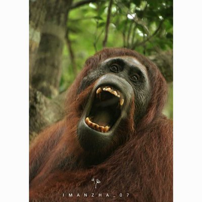 hey,,,,i am hungry