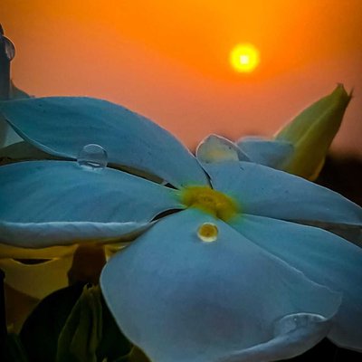 Rao Aryan Photography 