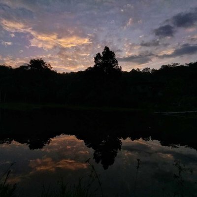 Reflection