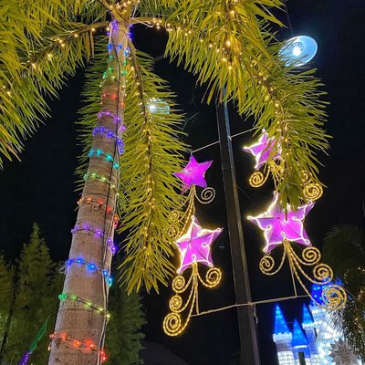Christmas Lights