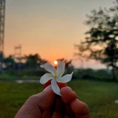 God's painted nature 💚