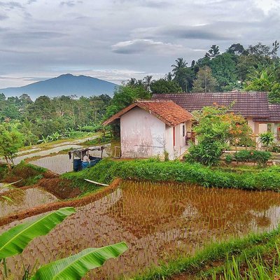 Rumah Dan Sawah
