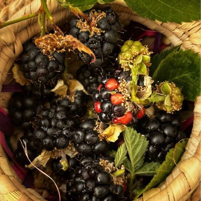 blackberries 