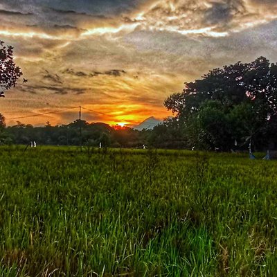 Senja Hari