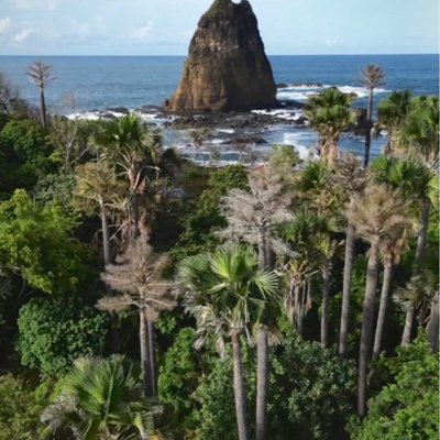 Pantai Papuma