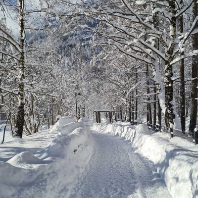 kar nekadar yakismis dogaya. 
