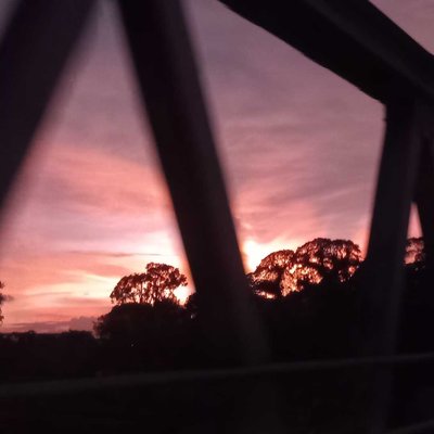 silhouette