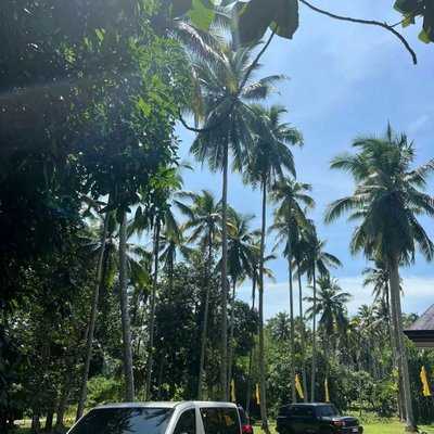 Araw