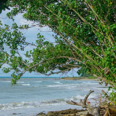 Pesisir