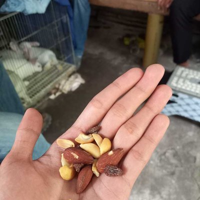 Nuts🥜🌰