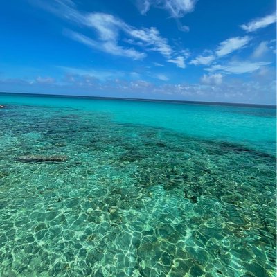 la vista perfecta para mi