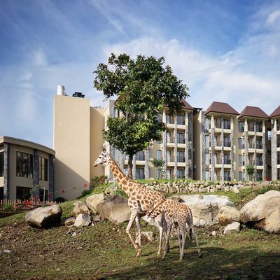 Baobab  Safari Resort
