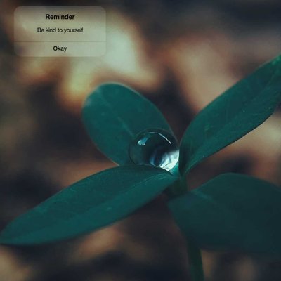 Macrophotography 
