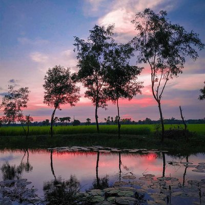 beauty of sunset....