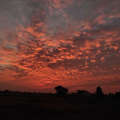 Evening Sky... 