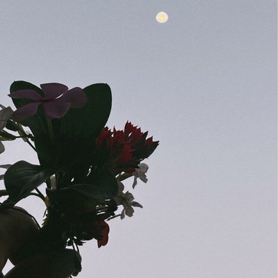Bunch of happiness 💐