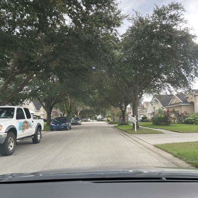 Neighborhood 