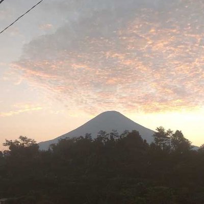 tiap pagi menyapaku