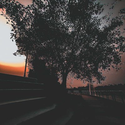 Beautiful sunset view